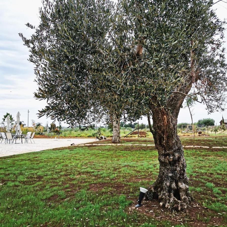 Il Sentiero Di Leano Hotel Terracina Exterior photo